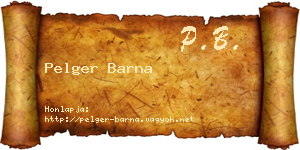 Pelger Barna névjegykártya